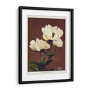 Peonía herdácea - II - Ogawa Kazumasa | Cuadro decorativo de Canvas Lab