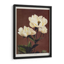 Peonía herdácea - II - Ogawa Kazumasa | Cuadro decorativo de Canvas Lab