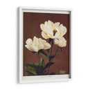 Peonía herdácea - II - Ogawa Kazumasa | Cuadro decorativo de Canvas Lab