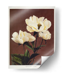 Peonía herdácea - II - Ogawa Kazumasa | Cuadro decorativo de Canvas Lab