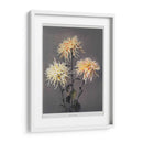 Imo–se–yama - Ogawa Kazumasa | Cuadro decorativo de Canvas Lab