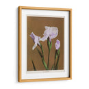 Iris Kæmpferi - I - Ogawa Kazumasa | Cuadro decorativo de Canvas Lab