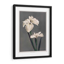 Iris Kæmpferi - II - Ogawa Kazumasa | Cuadro decorativo de Canvas Lab