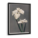 Iris Kæmpferi - II - Ogawa Kazumasa | Cuadro decorativo de Canvas Lab