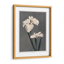 Iris Kæmpferi - II - Ogawa Kazumasa | Cuadro decorativo de Canvas Lab