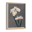 Iris Kæmpferi - II - Ogawa Kazumasa | Cuadro decorativo de Canvas Lab