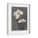 Iris Kæmpferi - II - Ogawa Kazumasa | Cuadro decorativo de Canvas Lab