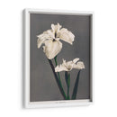 Iris Kæmpferi - II - Ogawa Kazumasa | Cuadro decorativo de Canvas Lab