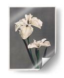 Iris Kæmpferi - II - Ogawa Kazumasa | Cuadro decorativo de Canvas Lab