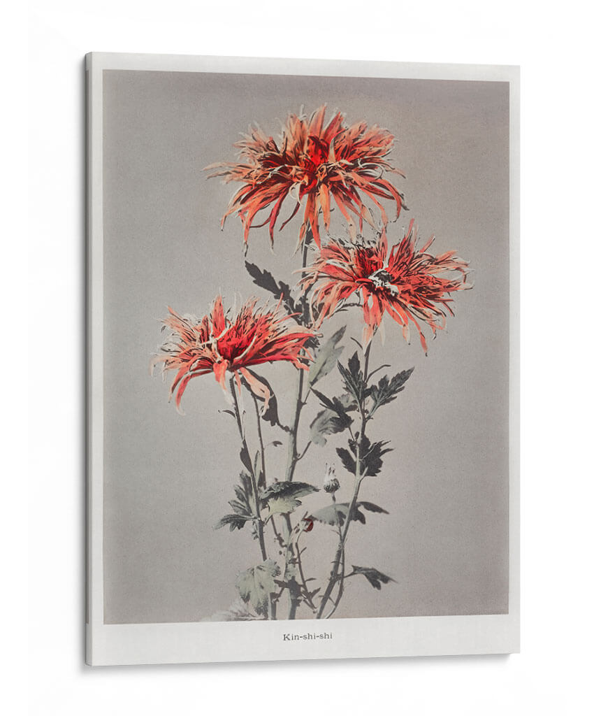 Kin-shi-shi - Ogawa Kazumasa | Cuadro decorativo de Canvas Lab