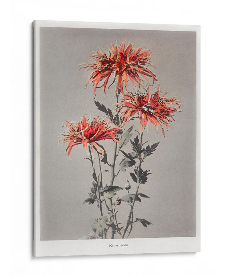 Kin-shi-shi - Ogawa Kazumasa | Cuadro decorativo de Canvas Lab