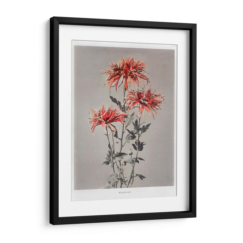 Kin-shi-shi - Ogawa Kazumasa | Cuadro decorativo de Canvas Lab