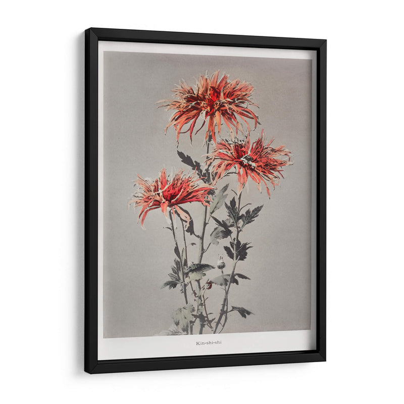 Kin-shi-shi - Ogawa Kazumasa | Cuadro decorativo de Canvas Lab