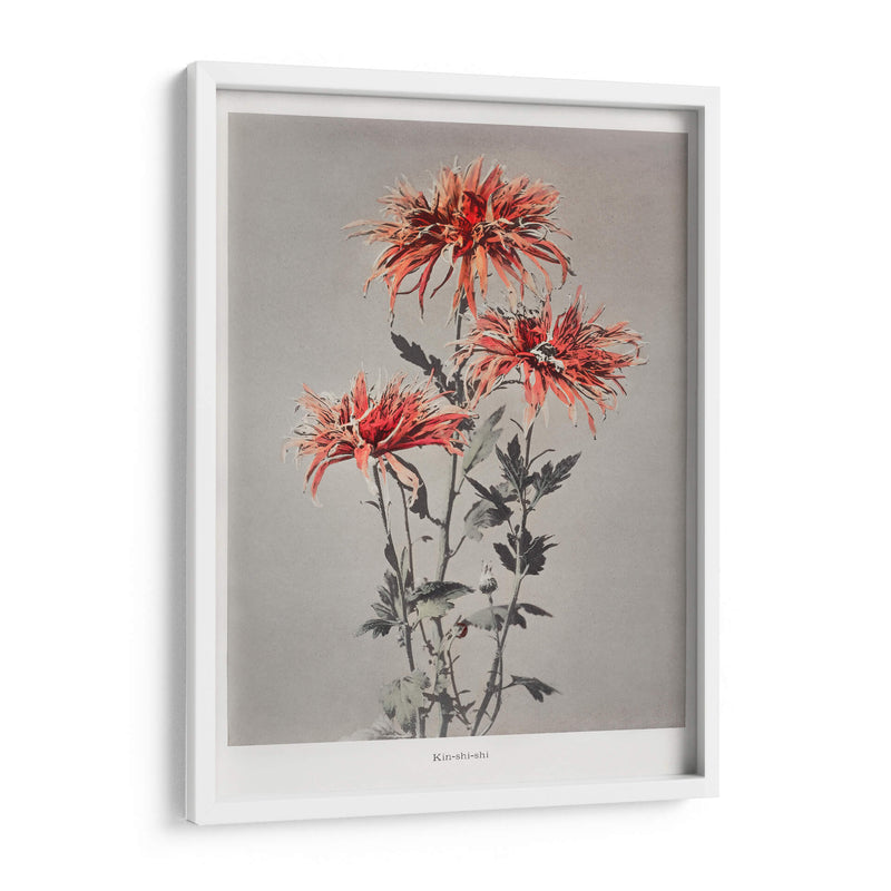 Kin-shi-shi - Ogawa Kazumasa | Cuadro decorativo de Canvas Lab