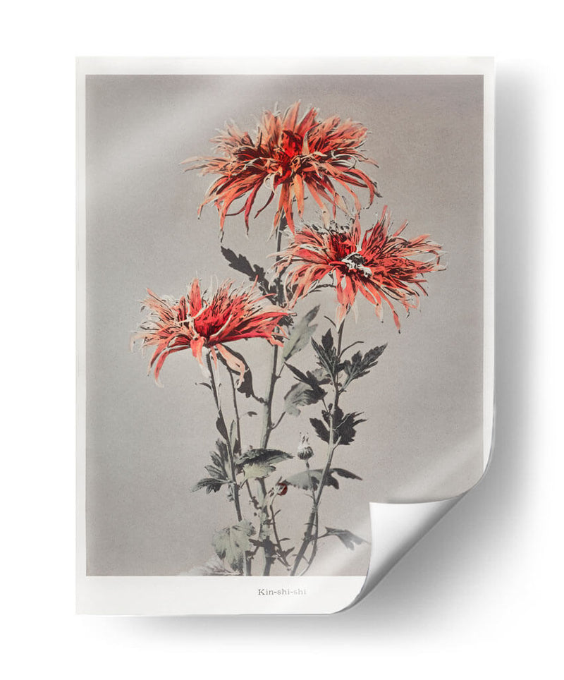 Kin-shi-shi - Ogawa Kazumasa | Cuadro decorativo de Canvas Lab