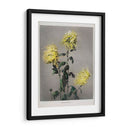 Ku–moi–sakura - Ogawa Kazumasa | Cuadro decorativo de Canvas Lab