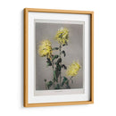 Ku–moi–sakura - Ogawa Kazumasa | Cuadro decorativo de Canvas Lab