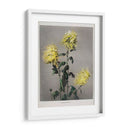 Ku–moi–sakura - Ogawa Kazumasa | Cuadro decorativo de Canvas Lab