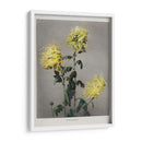 Ku–moi–sakura - Ogawa Kazumasa | Cuadro decorativo de Canvas Lab