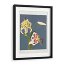 Fototipia de lirios de Japón - Ogawa Kazumasa | Cuadro decorativo de Canvas Lab