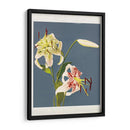 Fototipia de lirios de Japón - Ogawa Kazumasa | Cuadro decorativo de Canvas Lab