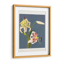 Fototipia de lirios de Japón - Ogawa Kazumasa | Cuadro decorativo de Canvas Lab