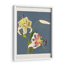 Fototipia de lirios de Japón - Ogawa Kazumasa | Cuadro decorativo de Canvas Lab