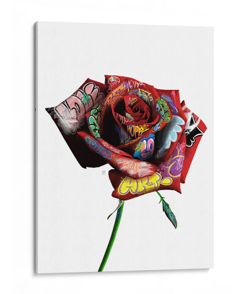 Rosa Graffiti - David Aste | Cuadro decorativo de Canvas Lab