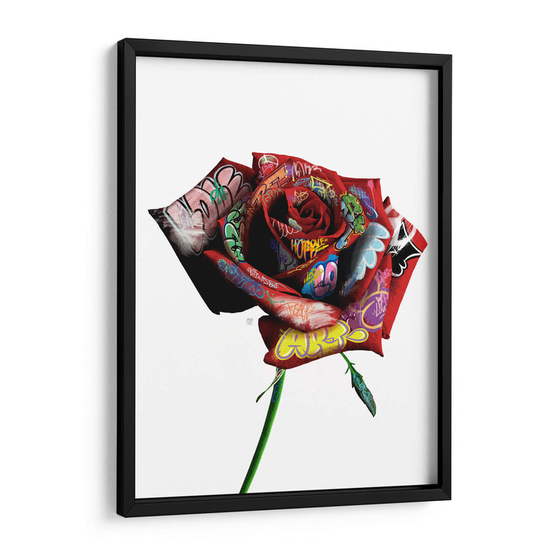 Rosa Graffiti - David Aste | Cuadro decorativo de Canvas Lab