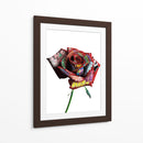 Rosa Graffiti - David Aste | Cuadro decorativo de Canvas Lab