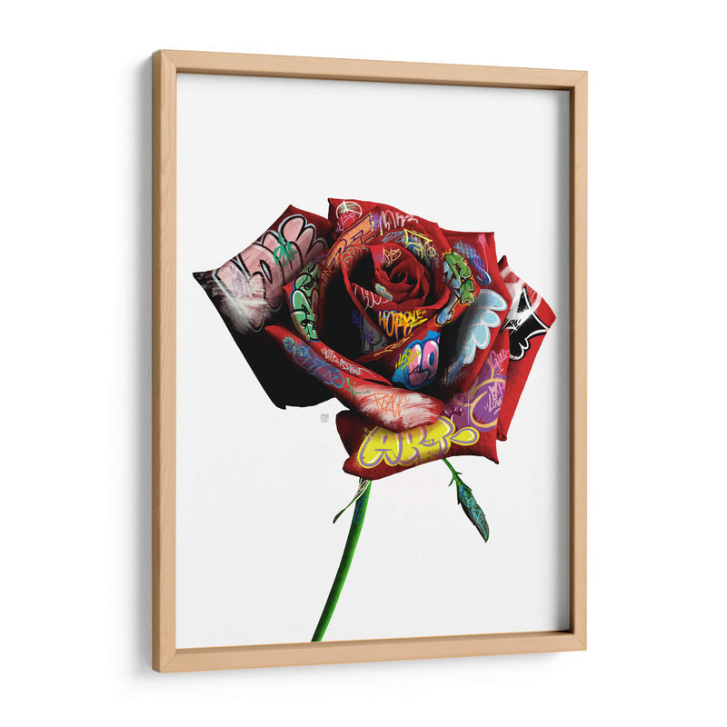 Rosa Graffiti - David Aste | Cuadro decorativo de Canvas Lab