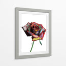 Rosa Graffiti - David Aste | Cuadro decorativo de Canvas Lab