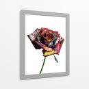 Rosa Graffiti - David Aste | Cuadro decorativo de Canvas Lab