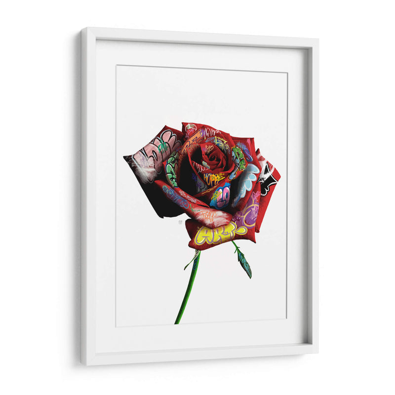 Rosa Graffiti - David Aste | Cuadro decorativo de Canvas Lab