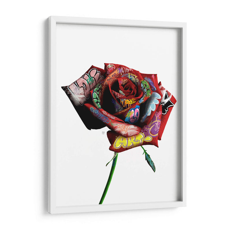 Rosa Graffiti - David Aste | Cuadro decorativo de Canvas Lab