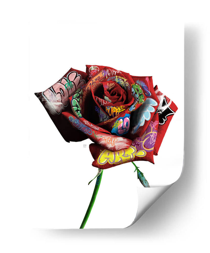 Rosa Graffiti - David Aste | Cuadro decorativo de Canvas Lab