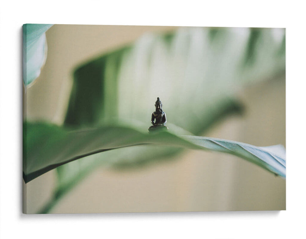 Buda sobre hoja | Cuadro decorativo de Canvas Lab
