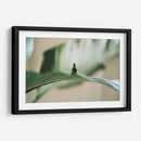 Buda sobre hoja | Cuadro decorativo de Canvas Lab