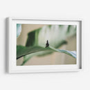 Buda sobre hoja | Cuadro decorativo de Canvas Lab