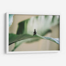 Buda sobre hoja | Cuadro decorativo de Canvas Lab