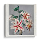 Lirio - I - Ogawa Kazumasa | Cuadro decorativo de Canvas Lab