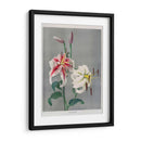 Lirio - II - Ogawa Kazumasa | Cuadro decorativo de Canvas Lab