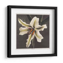 Lirio - III - Ogawa Kazumasa | Cuadro decorativo de Canvas Lab