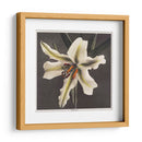 Lirio - III - Ogawa Kazumasa | Cuadro decorativo de Canvas Lab