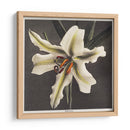 Lirio - III - Ogawa Kazumasa | Cuadro decorativo de Canvas Lab