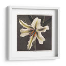 Lirio - III - Ogawa Kazumasa | Cuadro decorativo de Canvas Lab