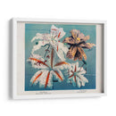 Lirio - V - Ogawa Kazumasa | Cuadro decorativo de Canvas Lab