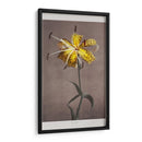 Lirio - VI - Ogawa Kazumasa | Cuadro decorativo de Canvas Lab