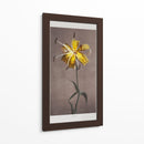 Lirio - VI - Ogawa Kazumasa | Cuadro decorativo de Canvas Lab