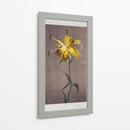Lirio - VI - Ogawa Kazumasa | Cuadro decorativo de Canvas Lab
